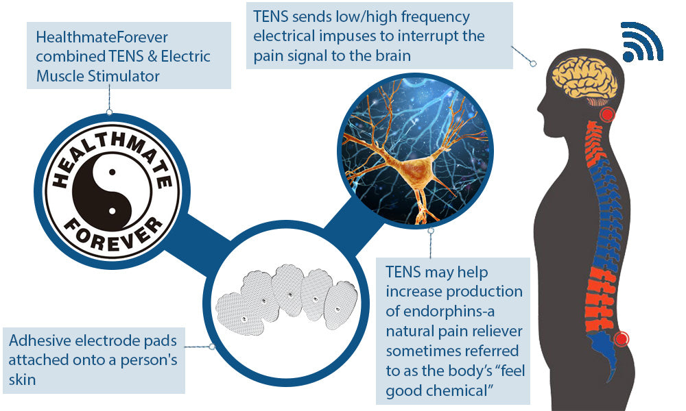 Dent & Scratch YK15AB Pain Relief TENS UNIT & Muscle Stimulator, 4 outputs,  apply 8 pads at the same time