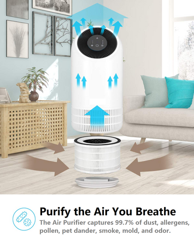 Air Purifier